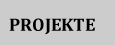 Projekt